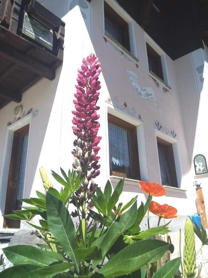 Baita Stella Alpina ليفينو المظهر الخارجي الصورة